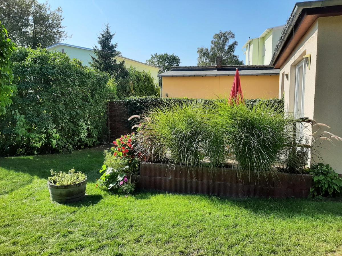 Ferienwohnungen Haus Glueckauf Kolpinsee Ngoại thất bức ảnh